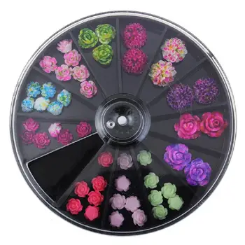 1 Box Kolesa Nail Art Dekorácie 3D Rose Flower Nail Art Kúzlo Farebné Korálky Živice na Nechty, Tipy na Manikúru Kolesa 2JY6