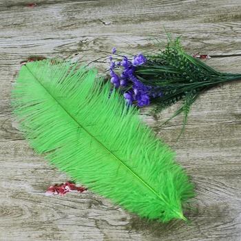 10 KS prírodná zelená pštrosie perie 40-45 cm / 16 to18 palcov oblaku dovolenku dekorácie zelené pierko pštrosie perie