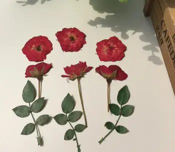 120pcs Stlačené Sušené Red Rose+Bud+List Kvet Pre Svadobné Party Domov Prívesok Náhrdelník Plavidlá DIY Kytice Príslušenstvo