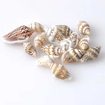 13-16 mm 100ks biele Prírodné Shell Voľné Korálky pre šperky, takže Náramok, Náhrdelník Náušnice, Takže TRS0057X