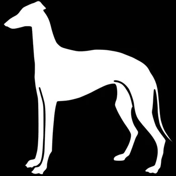 14,8 v*15.2 CM Greyhound Pes Auto Styling Dekorácie Odtlačkový Módne Okenné Dekorácie Cartoon Auto Nálepky C6-1710