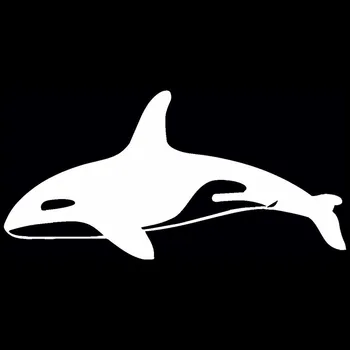 15.2*7,5 CM Orca kosatka dravá Ryba, Auto Nálepky, Nálepky Klasické Auto Styling Dekorácie, Doplnky C4-0829