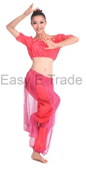 2 ks Nastaviť India Egyption Egypt, Brušný Tanec Kostým Bollywood Tanečných Kostýmov, Indické Šaty Bellydance Výkonnosť, Tanec Sady