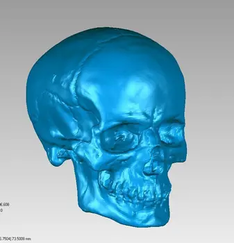 3D model pre cnc 3D vyrezávané obrázok sochy stroj v STL formát súboru Lebka Hlavy