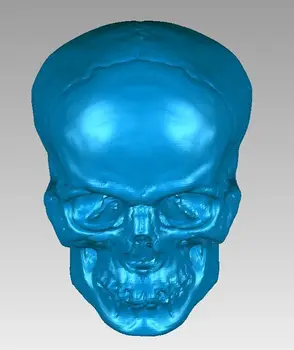 3D model pre cnc 3D vyrezávané obrázok sochy stroj v STL formát súboru Lebka Hlavy