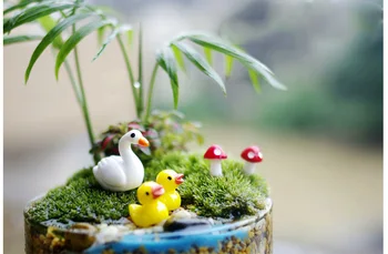 3pc/veľa Kačica Swan Údaje dekoratívne Figúrka mini víla záhrada Akvarijné ryby nádrž zvierat socha živice plavidlá