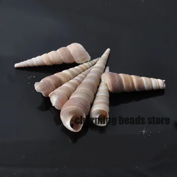 40-60 mm Prírodný Špirála seashell Zápisník Plavidlá, pre domáce dekorácie DIY 20pcs TRS0046