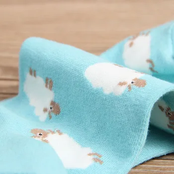 5 Párov Žien Krátke Ponožky Roztomilý Candy Farby Ovce Radi Vtipné Lady Ponožky Jednotlivých Kórea Jar Zimné Anti-bakteriálne Ponožka Meias