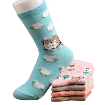 5 Párov Žien Krátke Ponožky Roztomilý Candy Farby Ovce Radi Vtipné Lady Ponožky Jednotlivých Kórea Jar Zimné Anti-bakteriálne Ponožka Meias