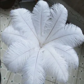 50PCS 22-24 cm / 55~60 cm prírodného pštrosie perie šaty zdobené biele pštrosie perie