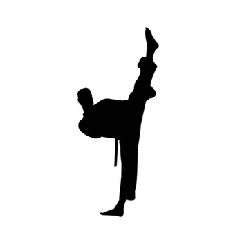 6*14 CM Čínskej Kung-Fu Legenda Karate Známky Auto Nálepky, Obtisky sa Okno Dekorácie Auto Samolepky A Nálepky C2-0065