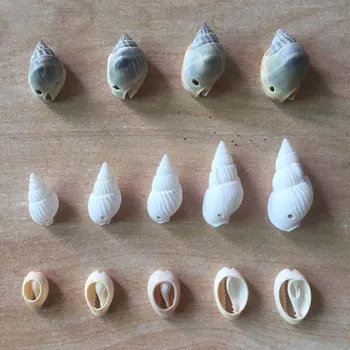 60pcs Mix Rôznych tvarov A Veľkosti Špirály Shell Perly pre KUTILOV, Šperky, Takže Farbené Cowrie Škrupiny Seashell