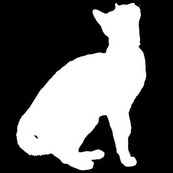 9.9*12,7 CM Cat Siluetu Mačiatko Auto Odtlačkový Okno Nálepky Roztomilý Funny Auto Styling Dekorácie, Nálepky C6-0383