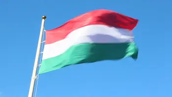 90 x 150 cm maďarskej polyester vlajky Maďarskej vlajky a Vnútorné a vonkajšie dekorácie NN098