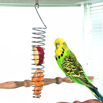 CAITEC Vták Hračky z Nehrdzavejúcej Ocele Papagáj Potravín Kôš najlepšie pre Uvedenie Ovocia, Zeleniny, Proso Vhodný pre Malé a Stredne Veľké Vtáka