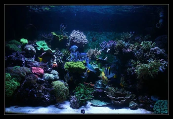 Celé spektrum 120w stmievateľné led akvarijné svetlo akvárium led lampa pre koralový útes