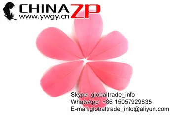 CHINAZP Profesionálne Veľkoobchod 100ks/veľa Jedinečný Farbené Rose Ručne Zdobené Husacie Perie na Predaj