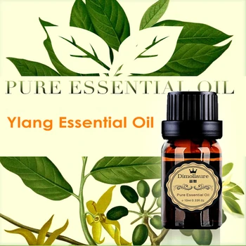 Dimollaure Ylang Esenciálny Olej pre starostlivosť o pokožku tela masážny olej Aromaterapia Vôňa Lampa rastlina éterický Olej