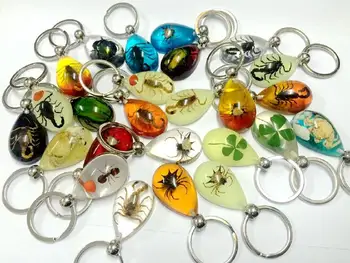 DOPRAVA ZADARMO 25 keychain reálne scorpion zmiešané hmyzu Stlačené farebné šperky