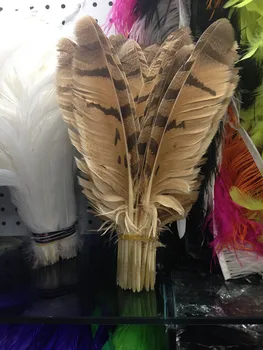 Doprava zadarmo veľkoobchod vysokej kvality 20pcs sova eagle feather 20-37 cm rôzne dekoratívne diy zbierať
