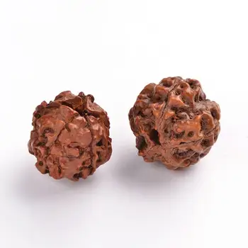 Drevené Perly, Prírodné, Kola, Čokoláda, 16~20x18~21 mm
