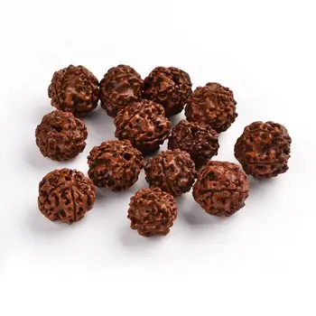 Drevené Perly, Prírodné, Kola, Čokoláda, 16~20x18~21 mm