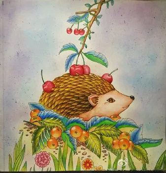 Elven Lesa dospelých sfarbenie kniha tajomstvo záhrady farebnosť kniha štýl Zmierniť Stres Zabiť Čas relaxačná maľovanie maľovanky