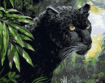 Frameless diy olej maľovanie podľa čísel farba číslo pre home decor plátno na maľovanie 4050 black leopard
