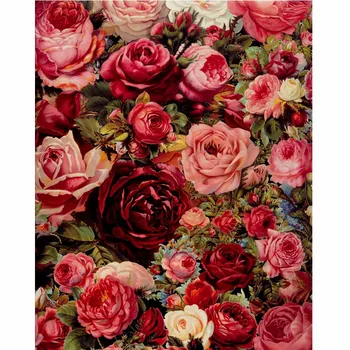Frameless Romantické Kvety DIY Maľovanie Podľa Čísel Mordern Wall Art Ručne Maľované olejomaľby Pre Domova umelecké Diela 40x50cm