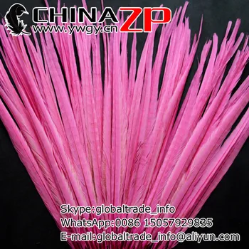 Gold Výrobca CHINAZP Factory 100ks/veľa 20-22 inch(50-55cm) Dĺžka ružovo Ringneck Bažant Chvostové Pierko