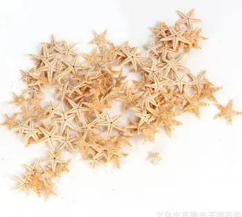 HappyKiss Prírodné morské hviezdice conch shells100pcs/veľa Prírodných sea star Ornament Príslušenstvo svadobné decoration0.5-1.5 cm