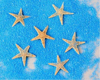 HappyKiss Prírodné morské hviezdice conch škrupiny Prírodné sea star Ornament Príslušenstvo svadobné dekorácie