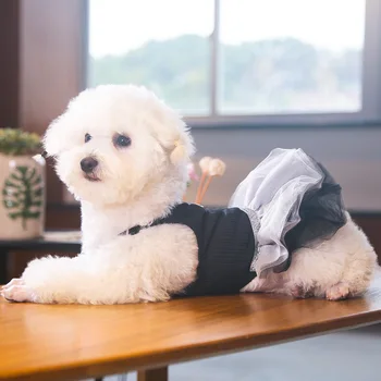 HOOPET Psa Cool Oblečenie Módne Oblečenie Malý Pes Jarné Letné Šaty Mačka Gázy Šaty Dve Farby