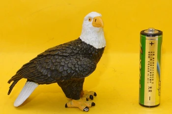 Horúce hračky:stojí Plešatý Orol Vták simulačný model Zvierat deti hračky pre deti, vzdelávacie rekvizity
