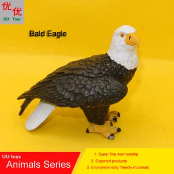 Horúce hračky:stojí Plešatý Orol Vták simulačný model Zvierat deti hračky pre deti, vzdelávacie rekvizity