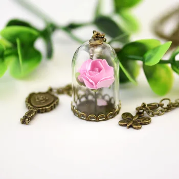 Houbian 24 Ks/veľa Retro Krištáľové Sklenené Fľaštičky Náhrdelník Malý Princ Rose Náhrdelníky Prírodných Sušených Kvetov, Prívesky, Zrkadlo Fľašu