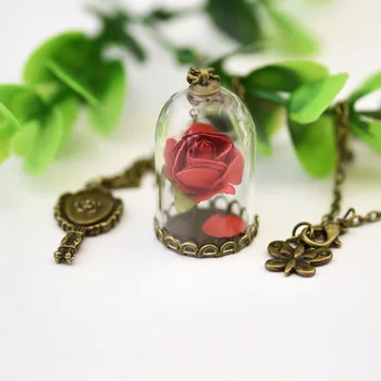 Houbian Dievča Red Rose Náhrdelník Šperky Retro Krištáľové Sklenené Fľaštičky Náhrdelník Prírodné Sušené Kvety Náhrdelník Vďakyvzdania Dary 5 ks