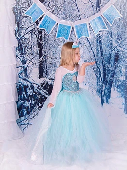Letné Dievča Dlhý Rukáv Tylu Fantasia Elsa Víla Princezná Šaty Deti Sprievod Dievčatá Oblečenie Cosplay Snehová Kráľovná Deti Kostým