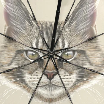 Maine Coon Mačka Dáždnik Slivka Dážď Ženy Skladacie Dáždniky Anti-UV Plne-Automatické Krásne Dážď Slnečníky