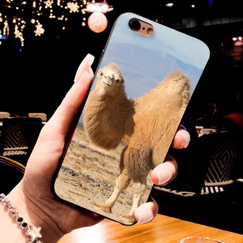 MaiYaCa camel zvierat v camel krásne mäkké tpu Telefón Príslušenstvo puzdro pre Apple iPhone 8 7 6 6 Plus X 5 5S SE 5C prípade shell