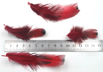MNFT 50Pcs/Veľa Prírodné Červené Bažant Peria s Veľkým Dot Lietať Viazanie Materiál pre Rybárske Nástrahy Dĺžke cca 4-8 cm