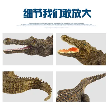 Model wild animal model simulácie krokodíla detských hračiek výučby poznávanie životného prostredia tuhé