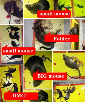 Myš Rada Sticky Potkan Lepidlo Pasca Myši Lepidlo Rada Myší Catcher Non-jedovaté Environmentálne Produkty