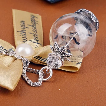 Nové Ručne vyrábané Šperky DIY Náhrdelníky Vintage Collier Steampunk Púpava Sklenené Fľaše, ktorí Chcú Prívesok anjel Náhrdelník Pre Ženy