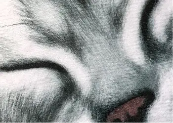 Nové Vysoko kvalitné ručné mačka tvar umývateľný koberec krátke vlasy mačka mat kreslených mačka umenia, koberec, Kuchyňa, Podlahové Rohože Vitajte Rohožky