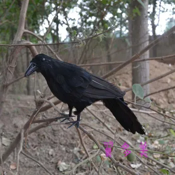 Nové čierne simulácia vrana hračka plastická a kožušín, vrana model bábika darček asi 30 cm 2204