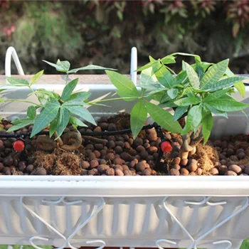 Nový Záhradný Kvet zavlažovacieho Systému Rain Sensor Auto Vody Časovač, Odkvapkávacia a Kropenie Zalievanie Súprava 10 m Hadica 10 Srinklers Auta