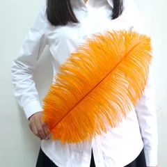 Orange pierko oblak, svadobné performing art decoration 10pcs orange pštrosie perie 16-18inches/40-45 cm pštrosie perie
