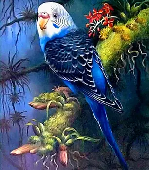 Papagáj,drahokamu maľovanie,5d diamond diamond maľovanie vtákov