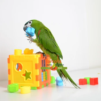 Papagáj Puzzle stavebným Vták Inteligencie Tréning Rozvoja Hračky pre Cockatiel Papagáj Budgie DIY Súčasťou Príslušenstvo Hračky